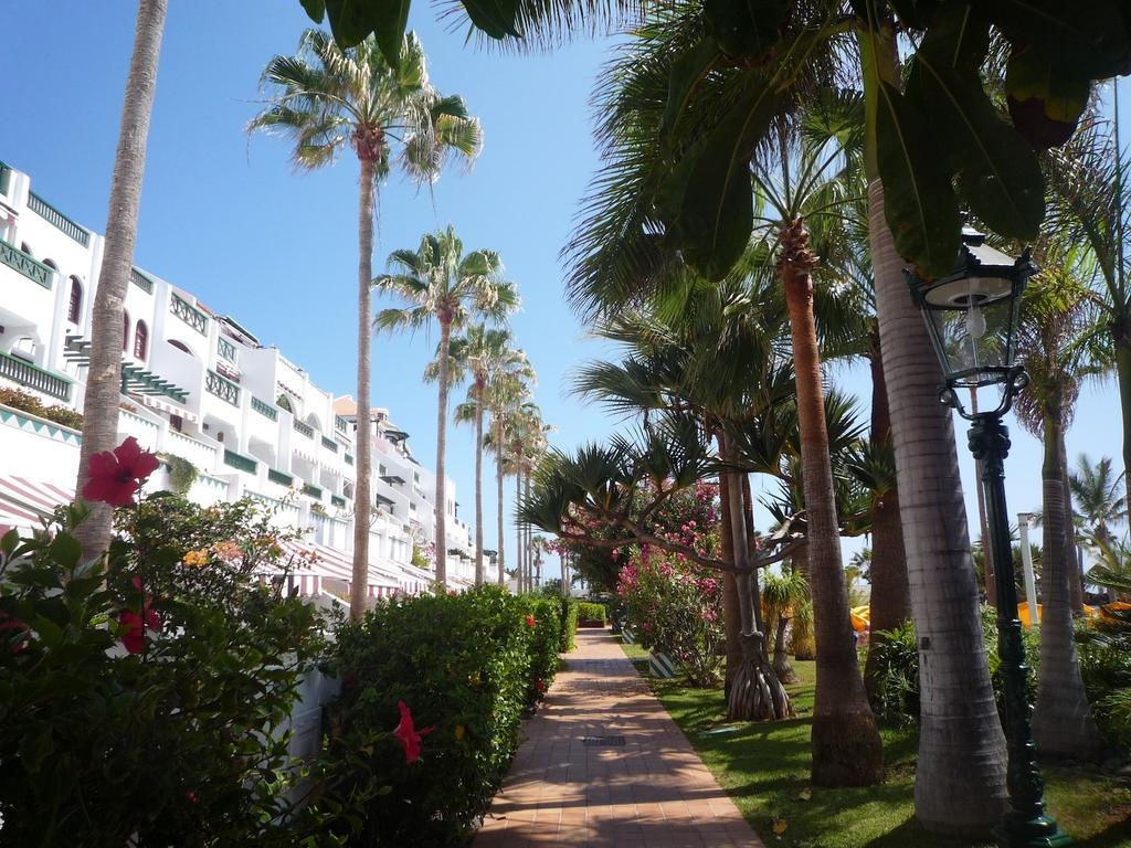 4 Santiago Playa Tenerife Estudio 美洲海滩 客房 照片